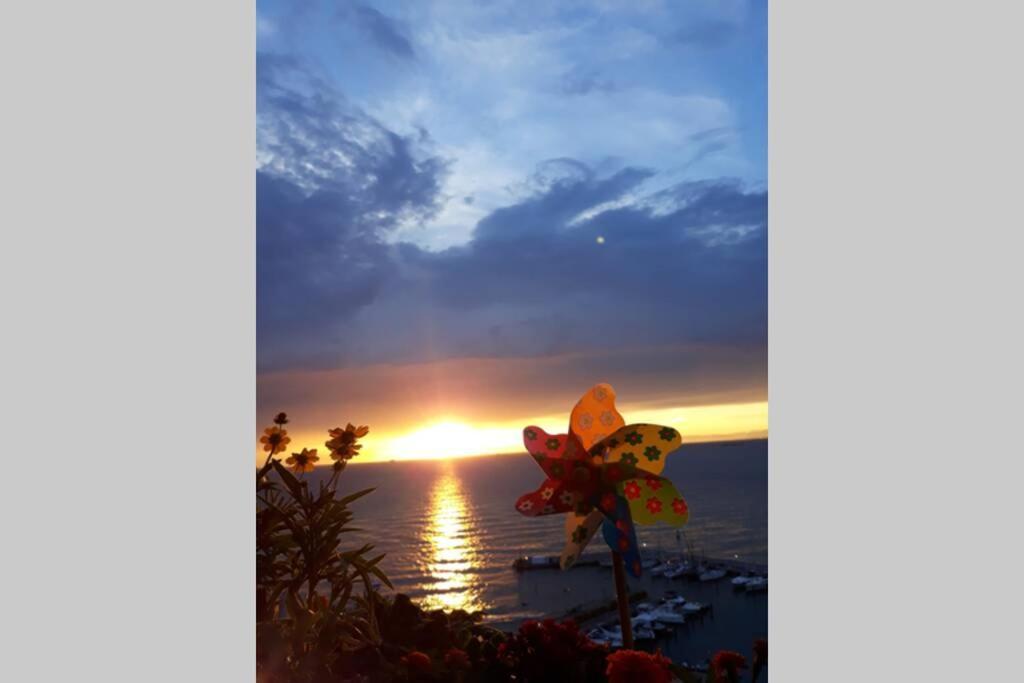 Apartma Milena Koper Buitenkant foto